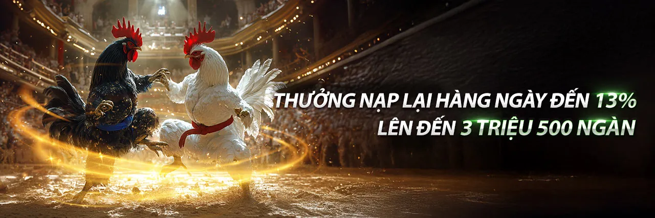 Blog 789b app: Tin tức và Hướng dẫn Cá cược