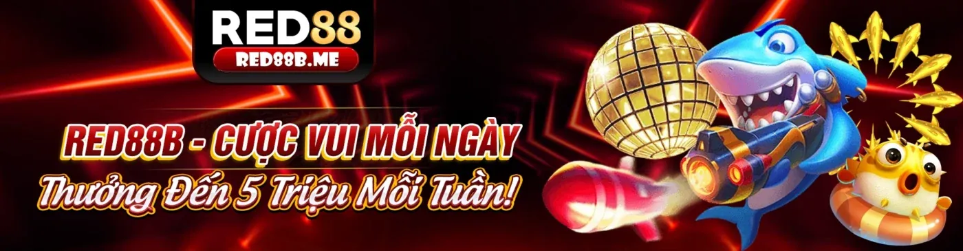 789b app và Cam kết Tuân thủ GDPR